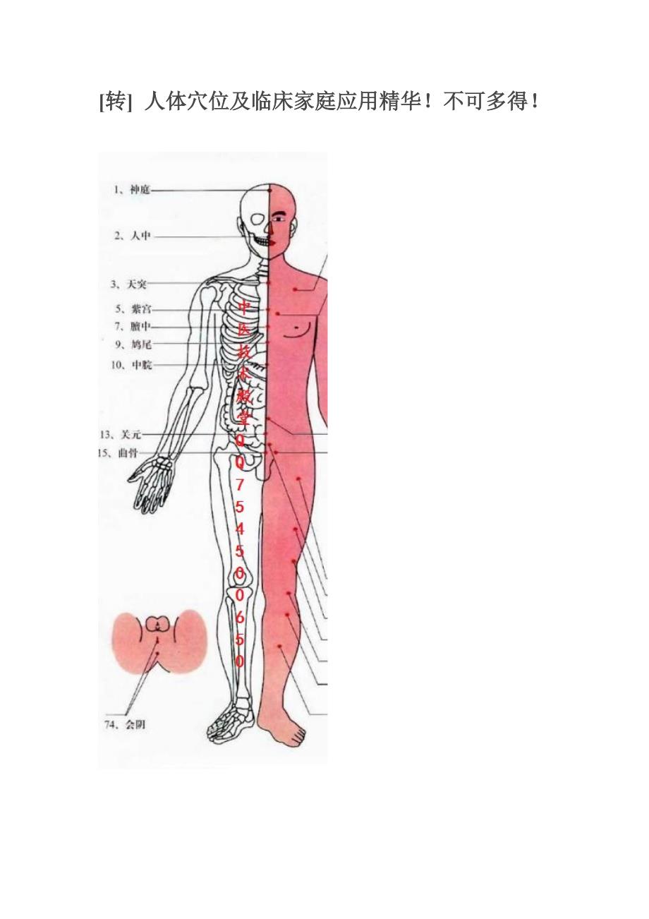 人体穴位及临床家庭应用精华_第1页
