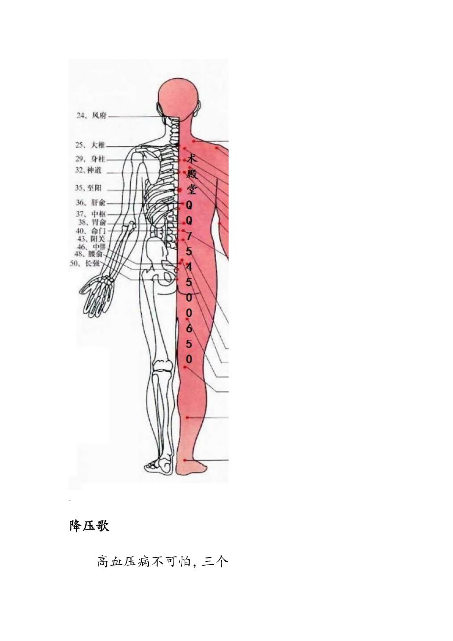 人体穴位及临床家庭应用精华_第2页