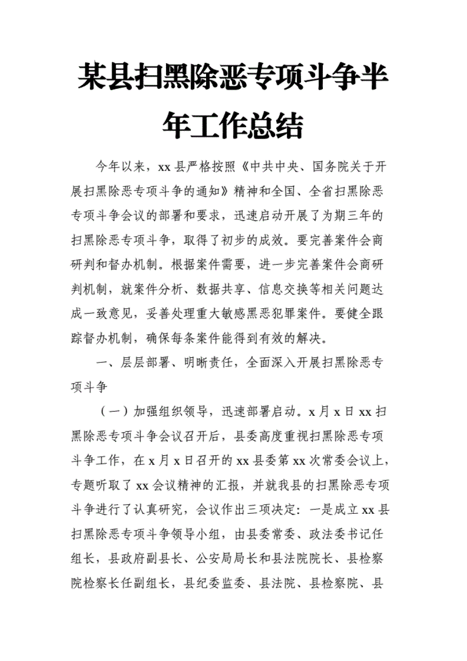 某县扫黑除恶专项斗争半年工作总结._第1页