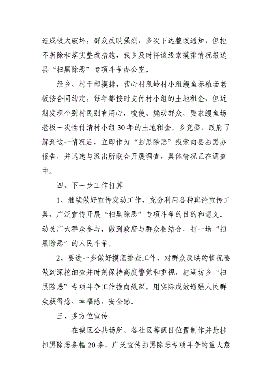 某县扫黑除恶专项斗争半年工作总结._第4页