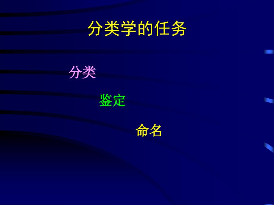 10.微生物的分类和鉴定_第3页