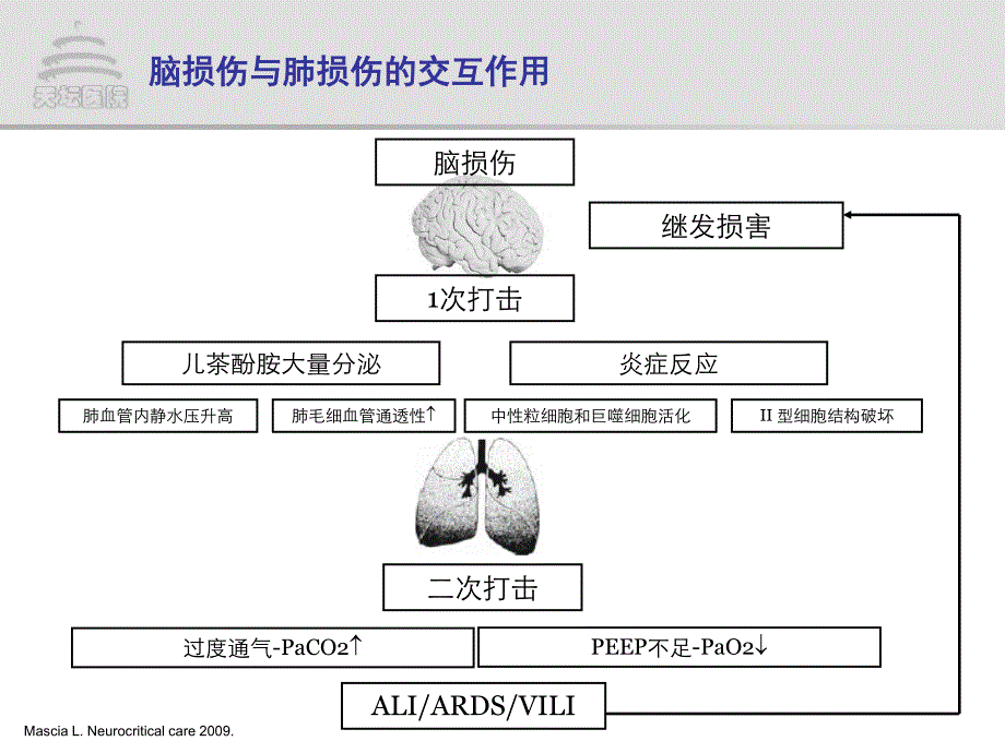 脑损伤患者的肺保护性通气策略-周建新_第3页