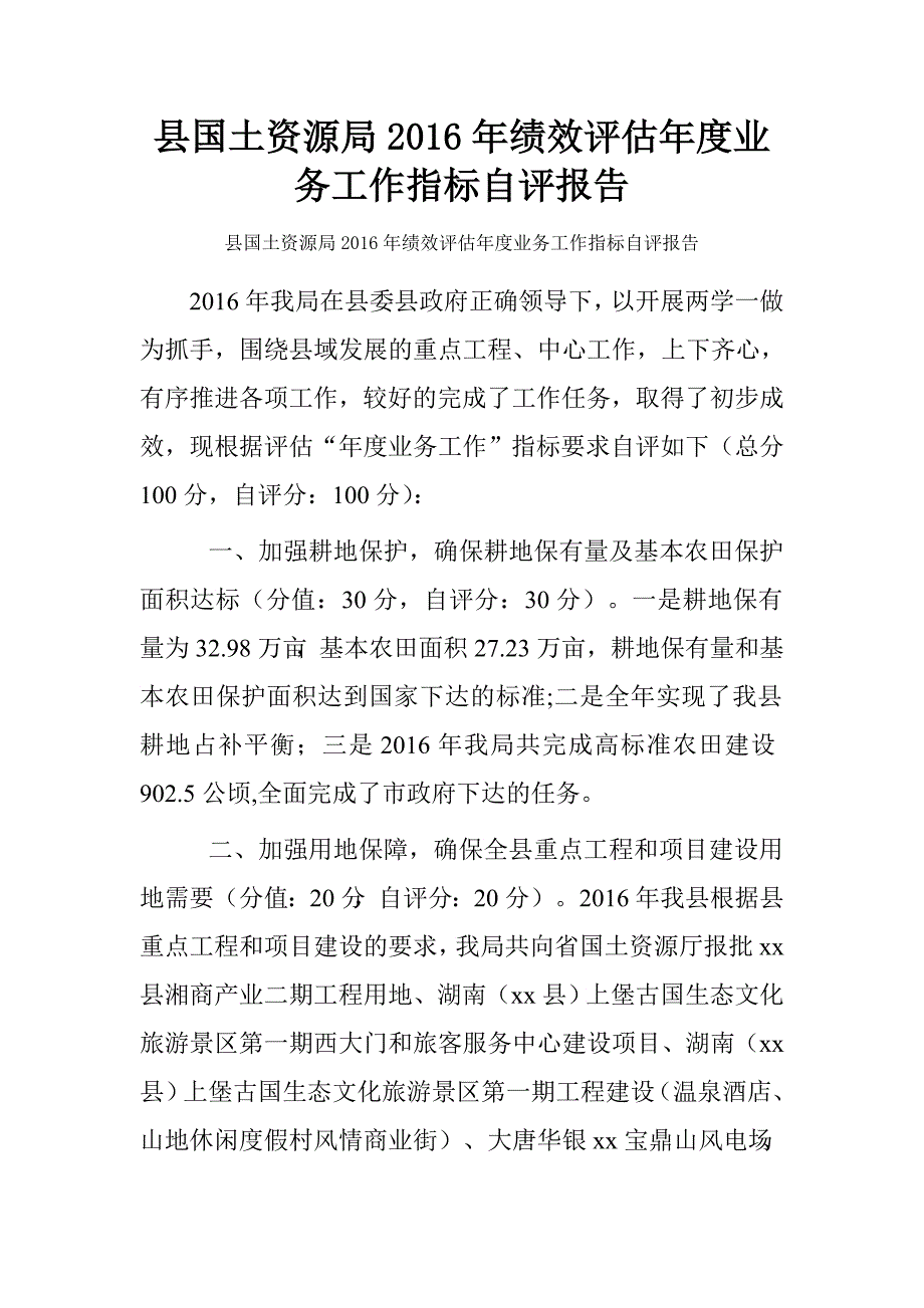 县国土资源局2016年绩效评估年度业务工作指标自评报告.doc_第1页