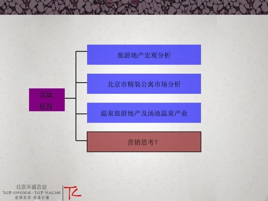 北京玫瑰产业基地营销策略报告_第5页