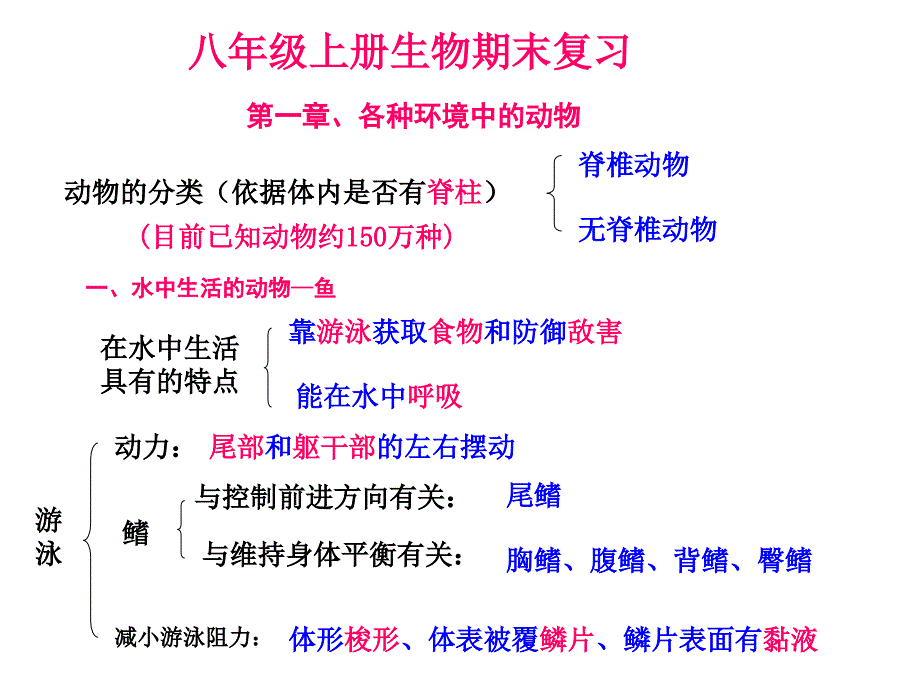 八年级生物：八年级上册生物期末复习提纲_初二生物课件(1)_第1页