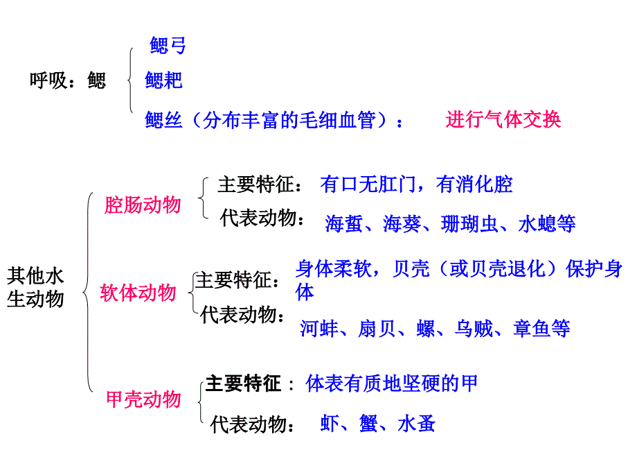 八年级生物：八年级上册生物期末复习提纲_初二生物课件(1)_第2页