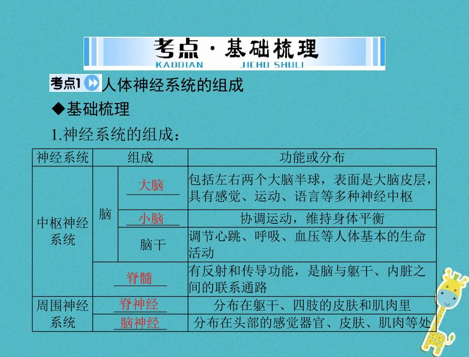 2018年中考生物考点梳理第一轮第四章第四讲人体的生命活动调节课件_第3页