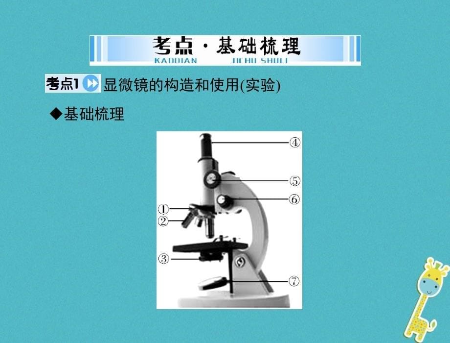 2018年中考生物考点梳理第一轮第一章第一讲显微镜和细胞课件_第5页