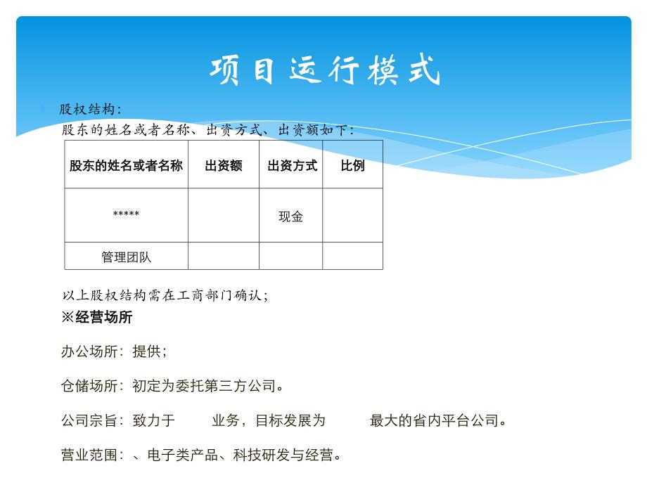 科技公司企划方案_第4页