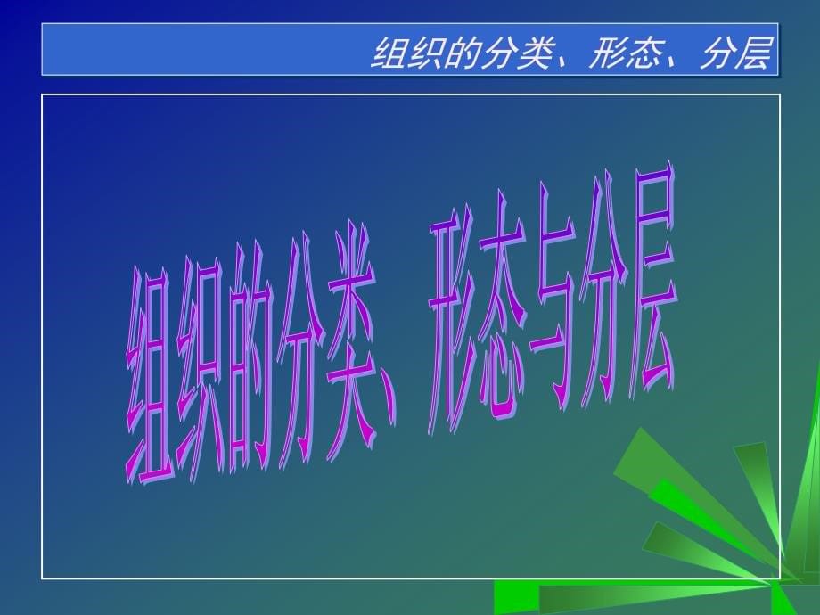 组织与管理信息系统的关系_第5页