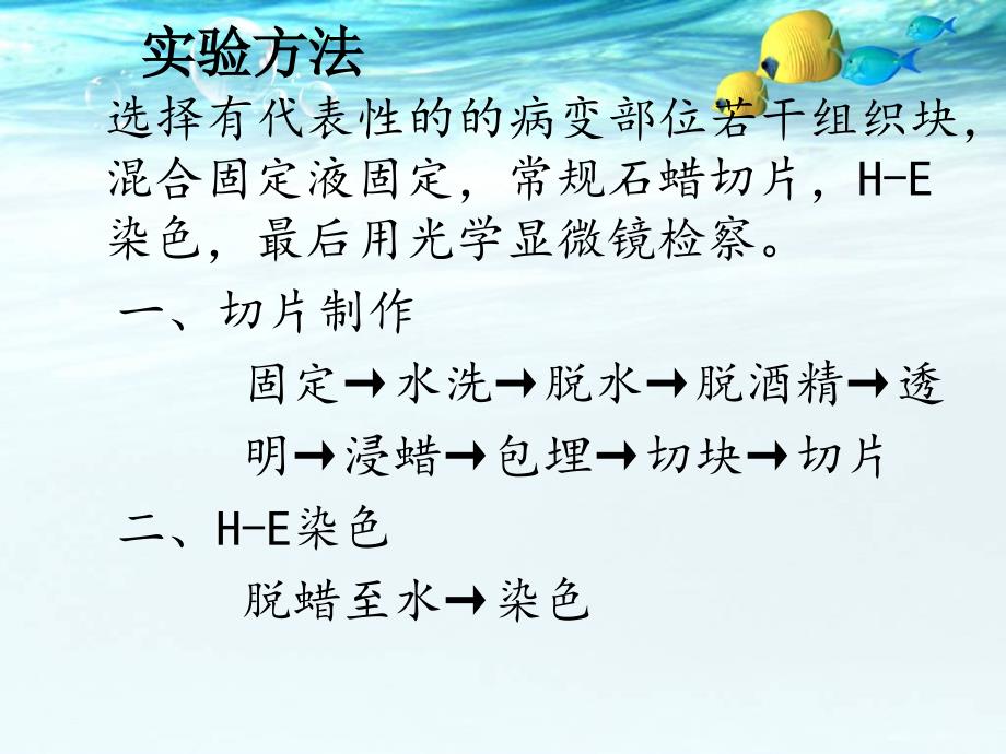 猪蓝耳病圆环病毒病和链球菌混合感染的病理学观察毕业论文_第3页