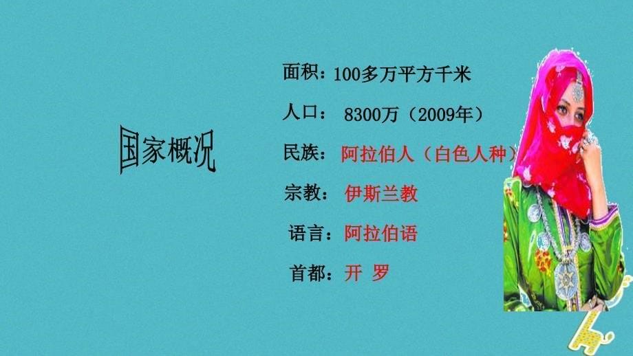 2018年七年级地理下册8.2埃及课件（新版）湘教版_第5页