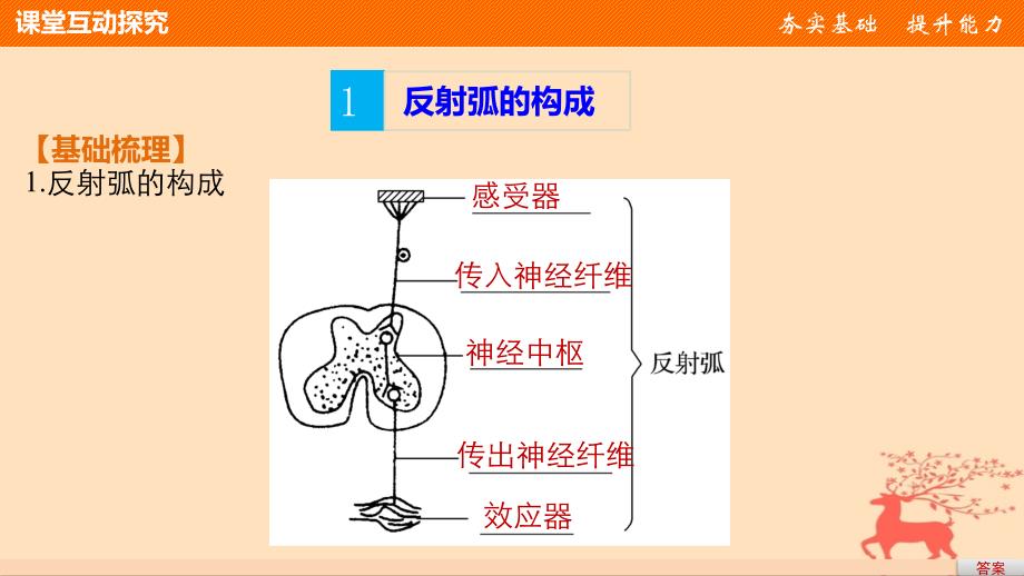 2018-2019版高中生物第一单元生物个体的稳态与调节第三章动物稳态维持的生理基础第二节反射活动的基本原理课件中图版必修3_第4页