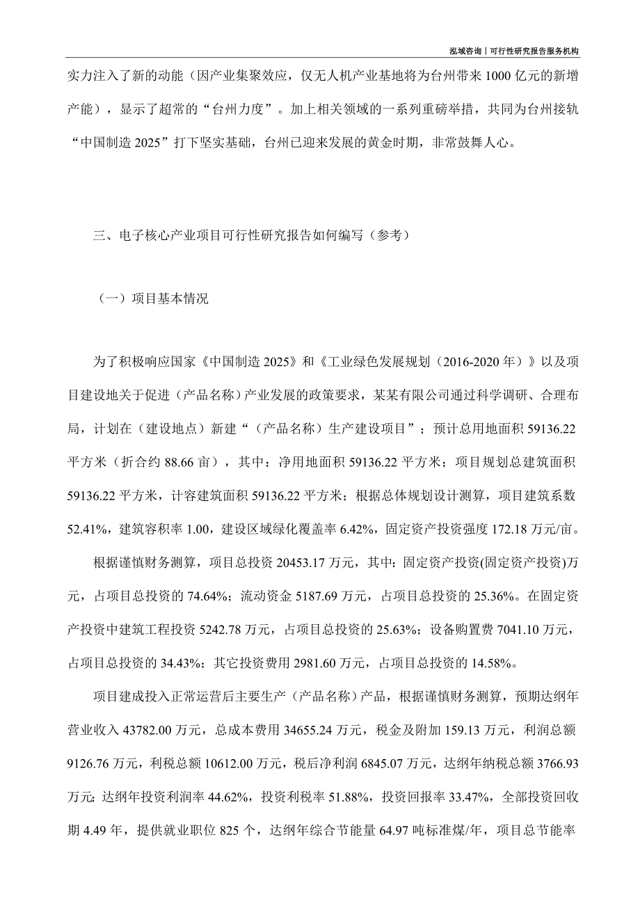 电子核心产业项目可行性研究部如何编写_第2页