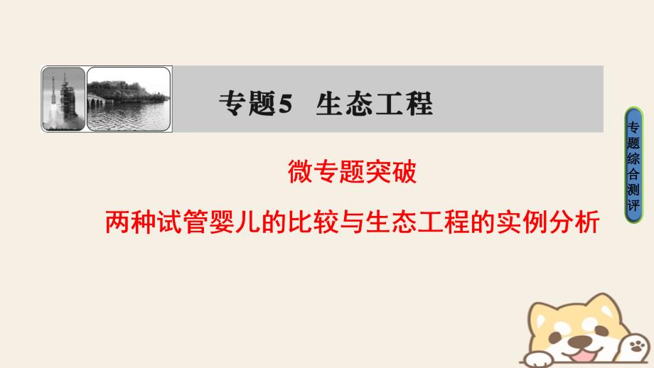 2018版高中生物第5章生态工程微专题突破课件新人教版选修3_第1页