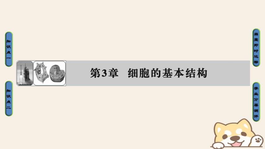 2018版高中生物第三章细胞的基本结构第1节细胞膜——系统的边界课件新人教版必修1_第1页