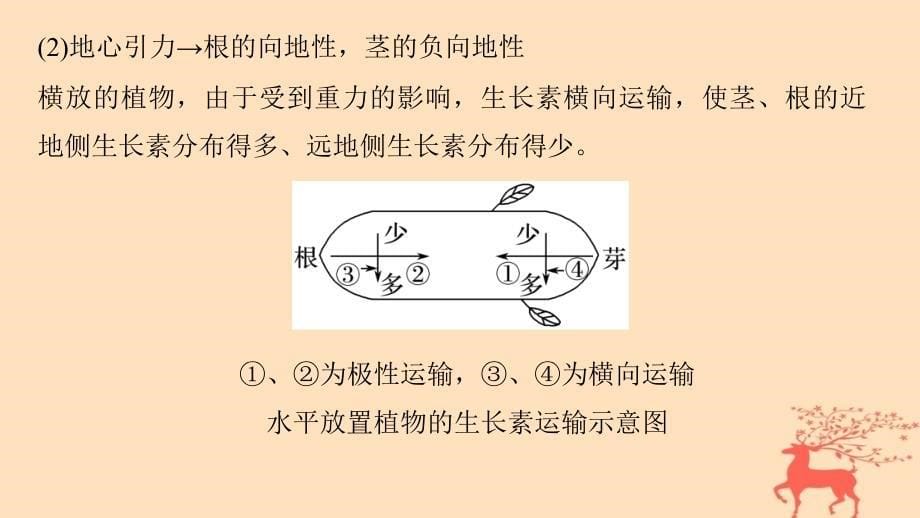 2018-2019版高中生物第一单元生物个体的稳态与调节第一章植物生命活动的调节章末整合课件中图版必修3_第5页