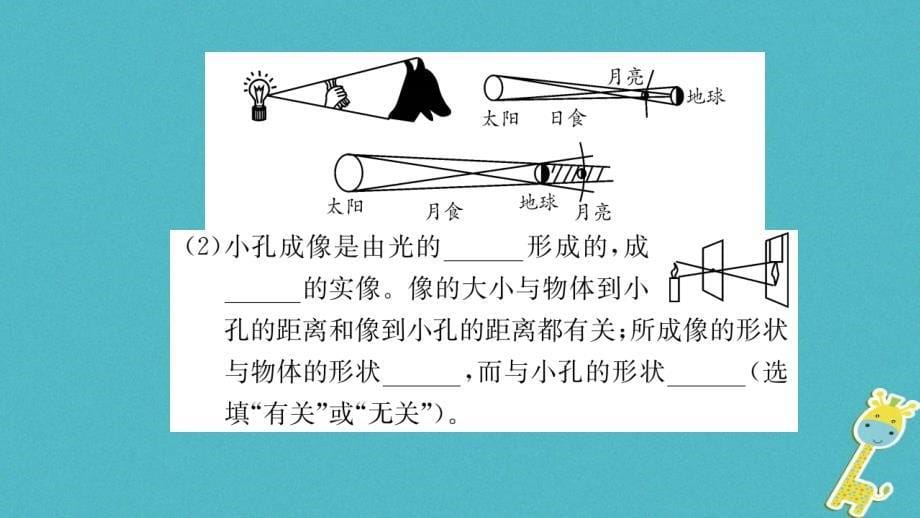 2018年八年级物理上册3.1光世界巡行课件新版粤教沪版_第5页