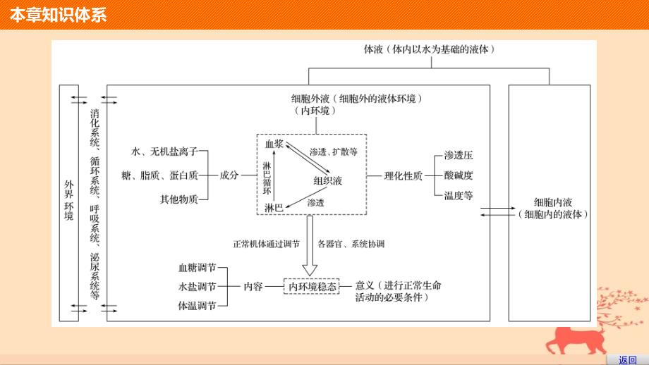 2018-2019版高中生物第一单元生物个体的稳态与调节第二章动物稳态维持及其意义章末整合课件中图版必修3_第3页