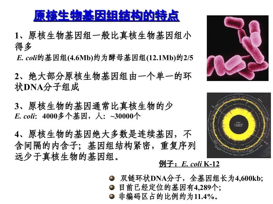 生命科学前沿进展基因组学、比较基因组学和宏基因组学_第5页