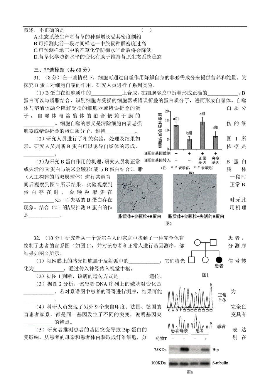 北京市海淀区2017届高三上学期期末考试生物试题（含答案）_第5页