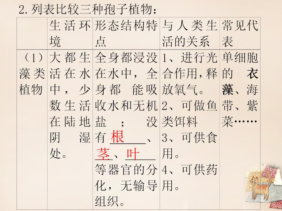 广东省南头初级中学中考生物第三单元第一章生物圈中有哪些绿色植物_第4页