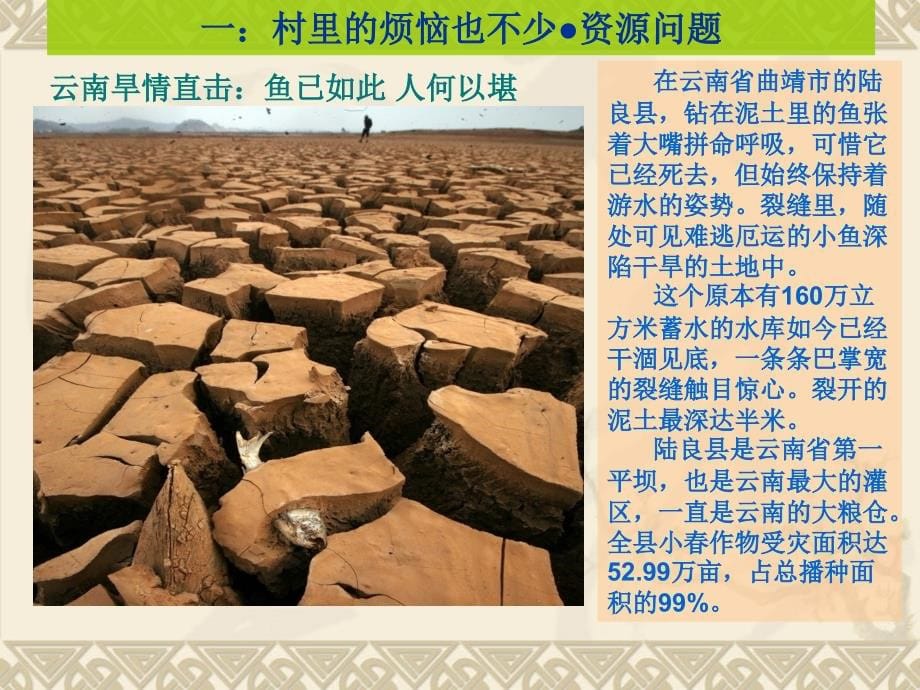 生活在地球村课件初中思想品德人民社2001课标版九年级全一册课件_第5页