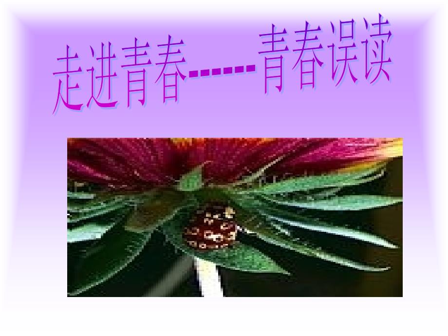 走进青春青春误读_第1页