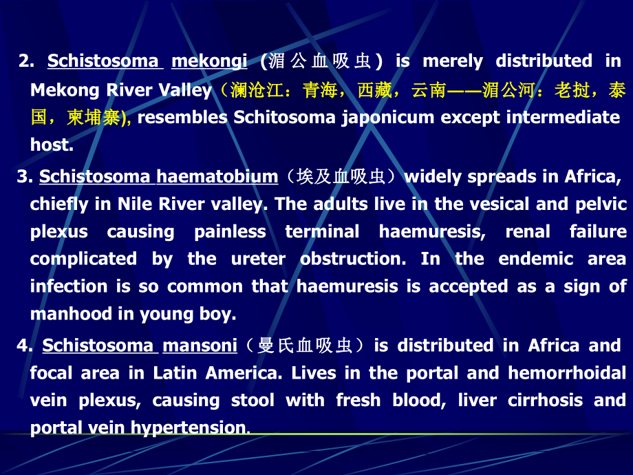 寄生虫-血吸虫Schistosoma_第3页