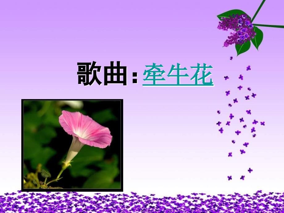 北师大版品德与生活二上《植物生长的秘密》ppt课件_第2页