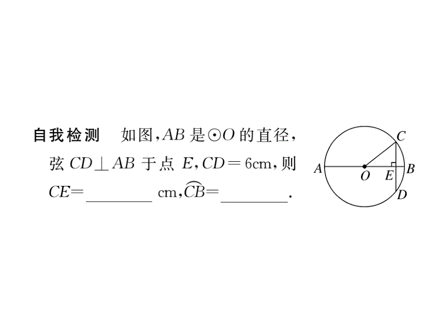 九年级数学下册（北师大版）作业课件：3.3垂径定理_第3页