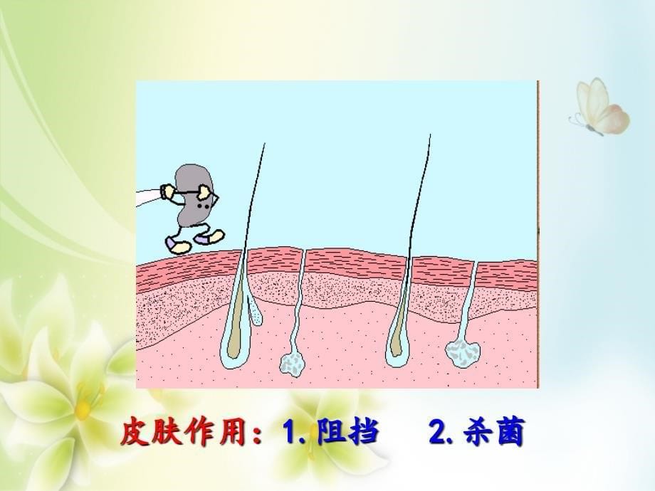 八年级生物下册第八单元第一章第二节免疫与计划免疫（第1课时人体的三道防线）教学课件新人教版_第5页