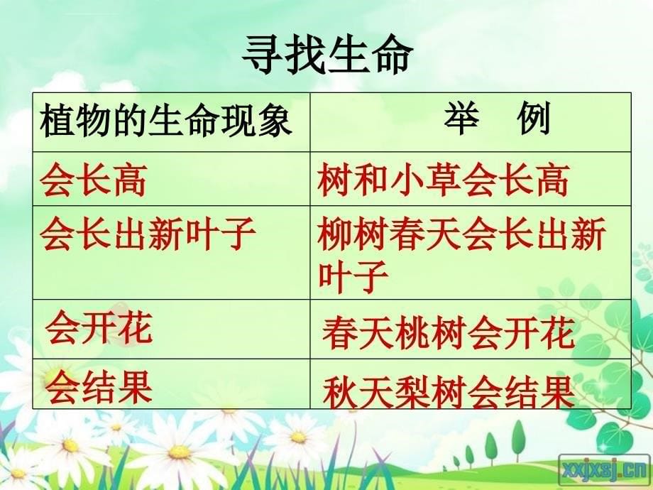 《动物植物和我们》课件小学品德与生活浙教版二年级下册（5）_第5页