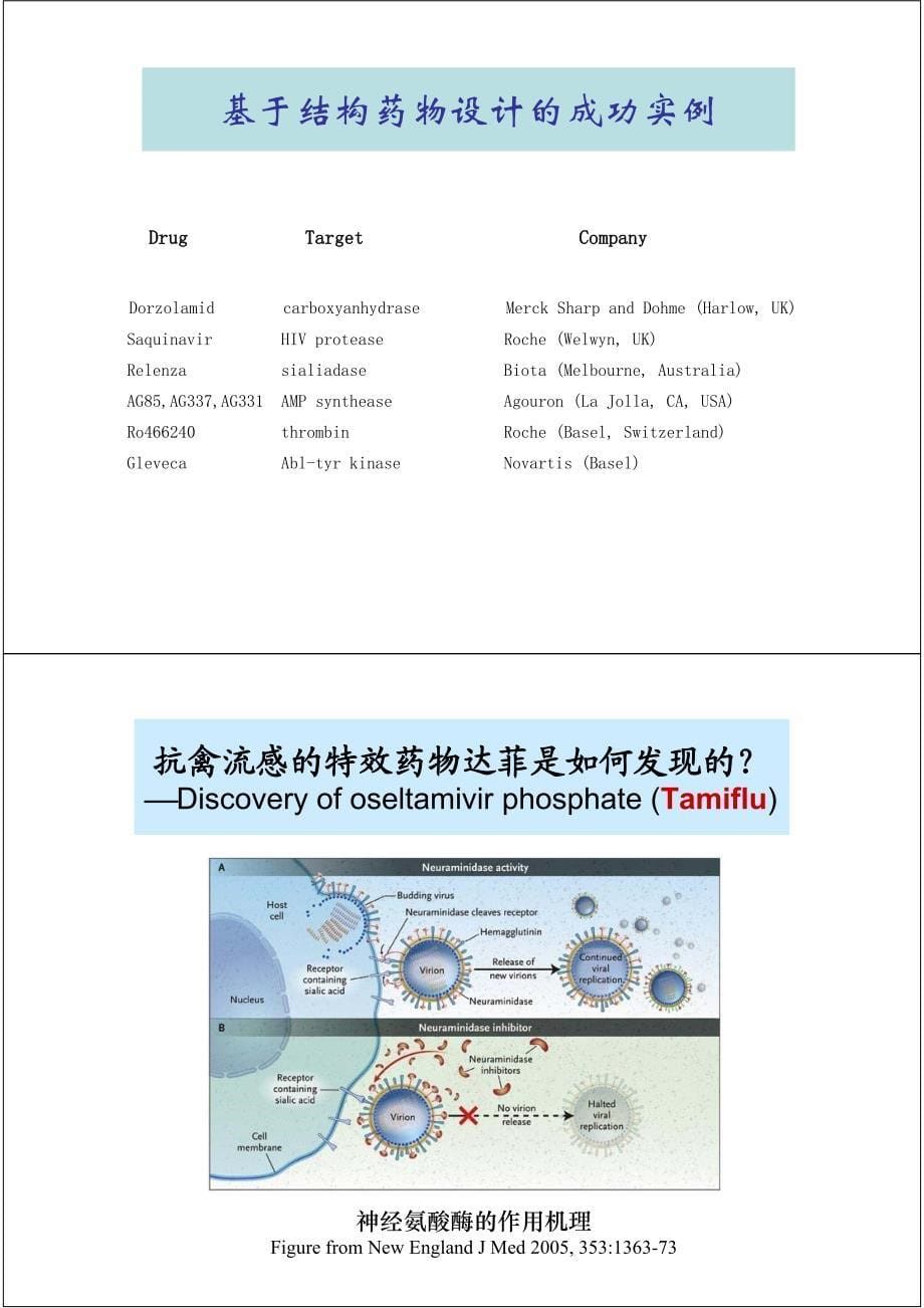 从基于结构到基于系统的药物设计_第5页