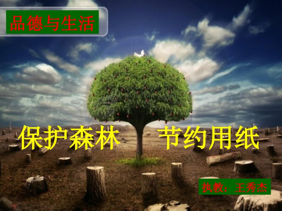 纸和环保保护森林节约用纸课件小学品德与生活北师大版二年级下册_第1页