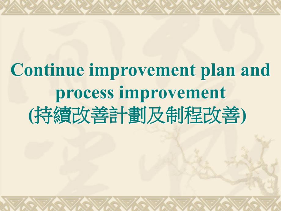 持续改善计划(CIP)及过程改善_第1页