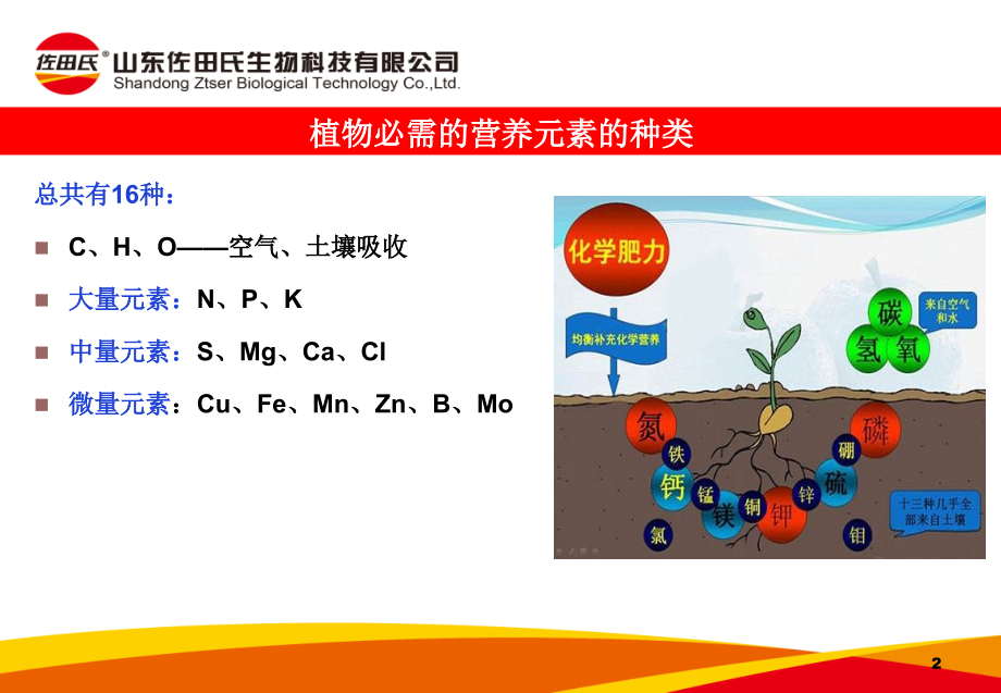 佐田氏公司植物营养元素基础知识培训(20180623)_第2页