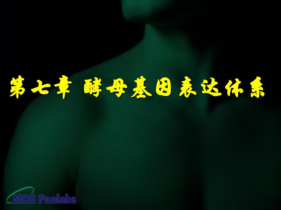 基因工程-第七章酵母基因表达体系_第1页
