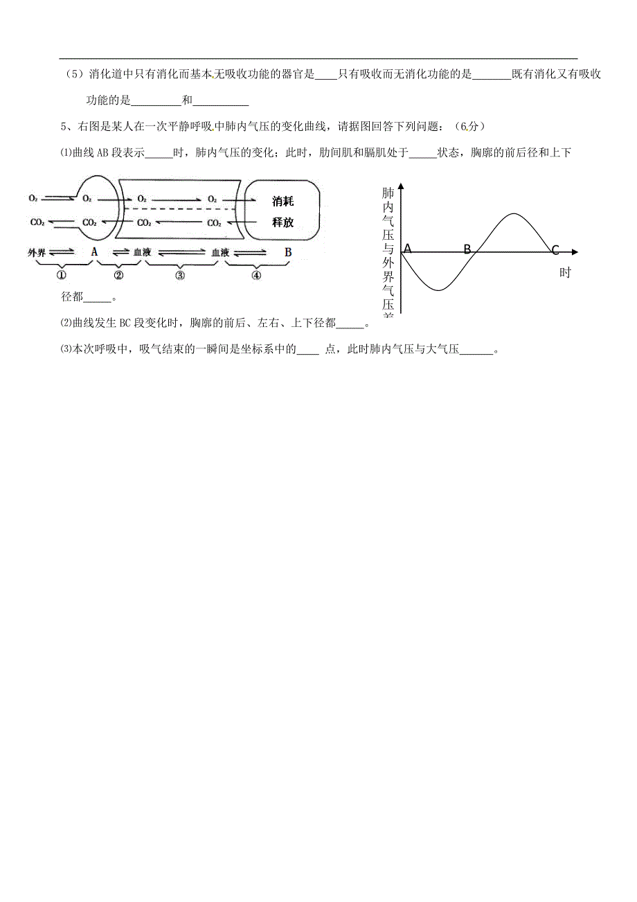 山东省宁津县育新中学2015-2016学年七年级下学期第一次月考生物试题_第5页