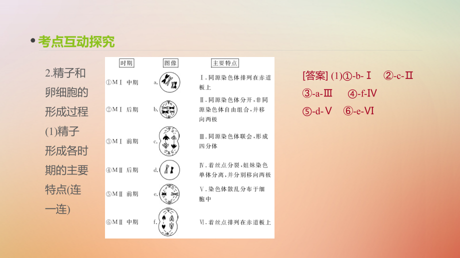 2019届高考生物一轮复习第4单元细胞的生命历程第13讲减数分裂和受精作用课件_第4页