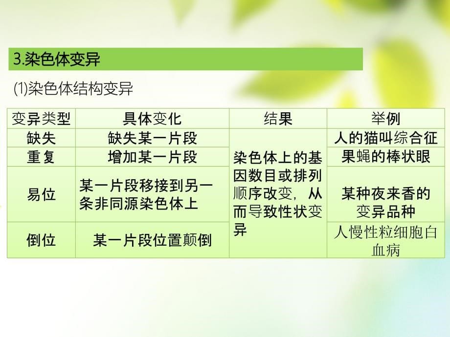 600分考点700分考法a版2019版高考生物总复习第九章生物的变异与进化课件_第5页