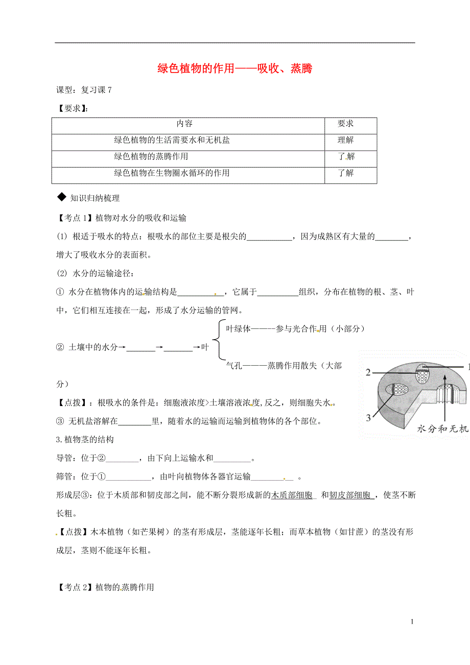 广东省河源市七年级生物上册3.3绿色植物的作用——吸收、蒸腾教案（新版）新人教版_第1页