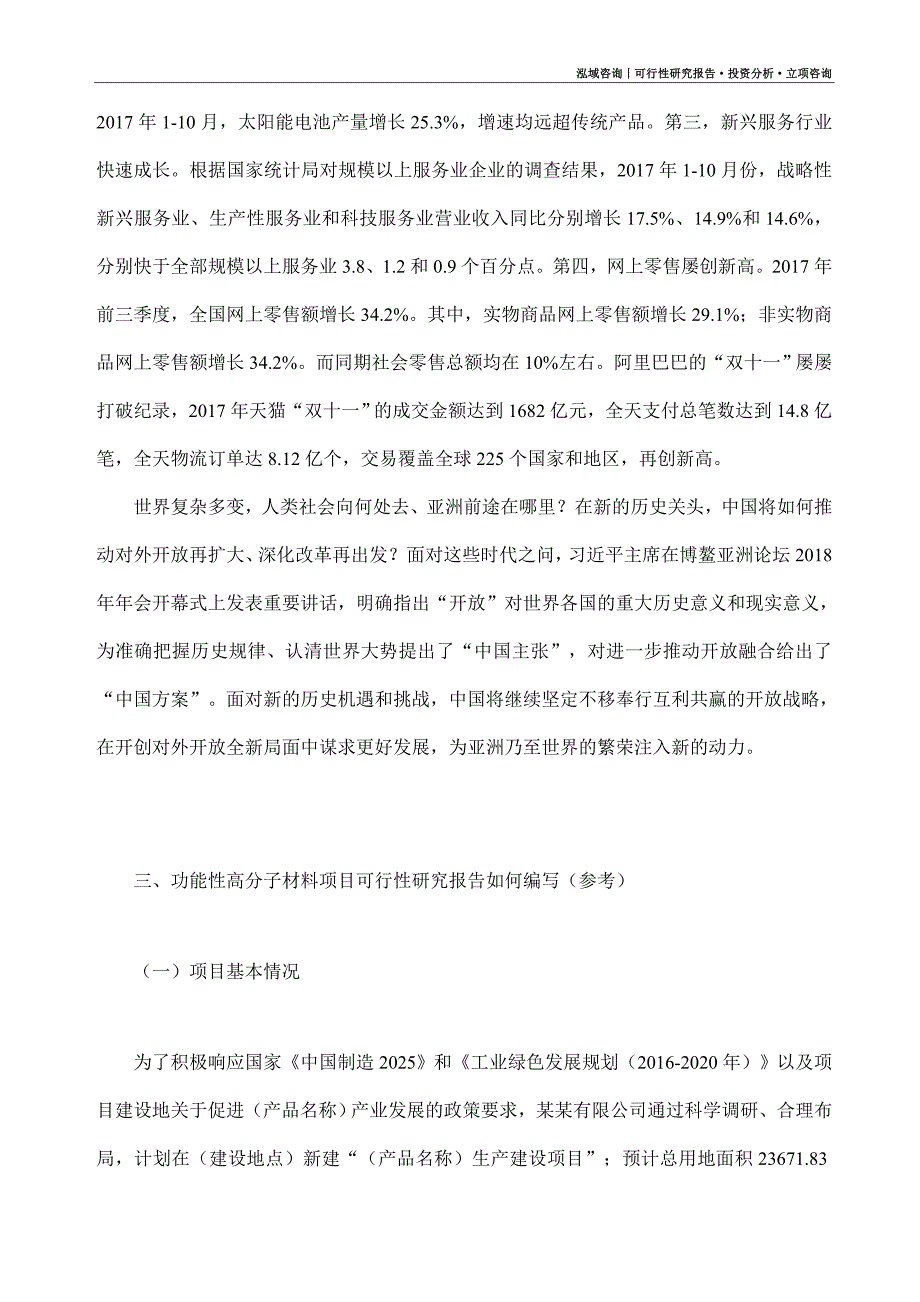 功能性高分子材料项目可行性研究报告（模板大纲及重点分析）_第2页