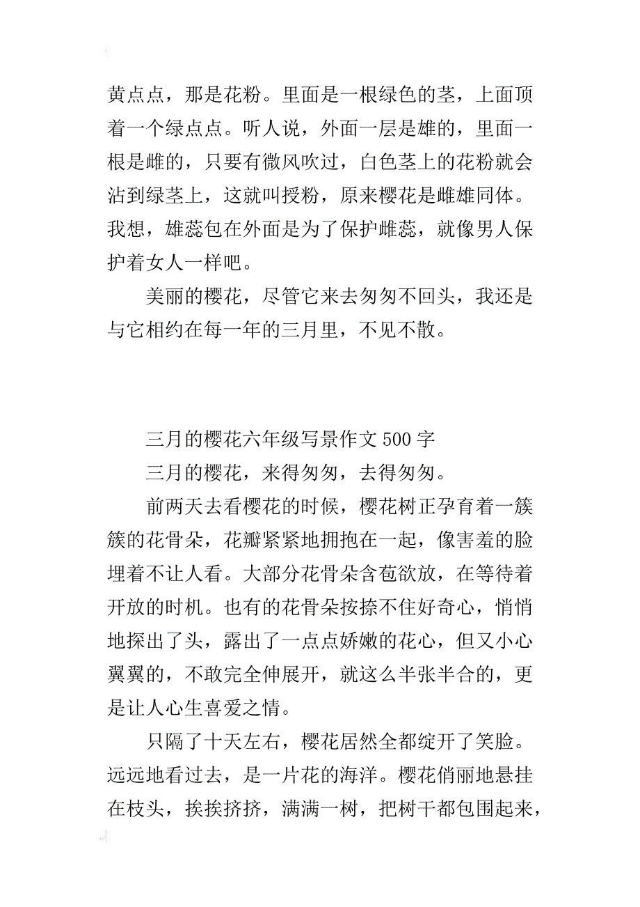 三月的樱花六年级写景作文500字_第4页