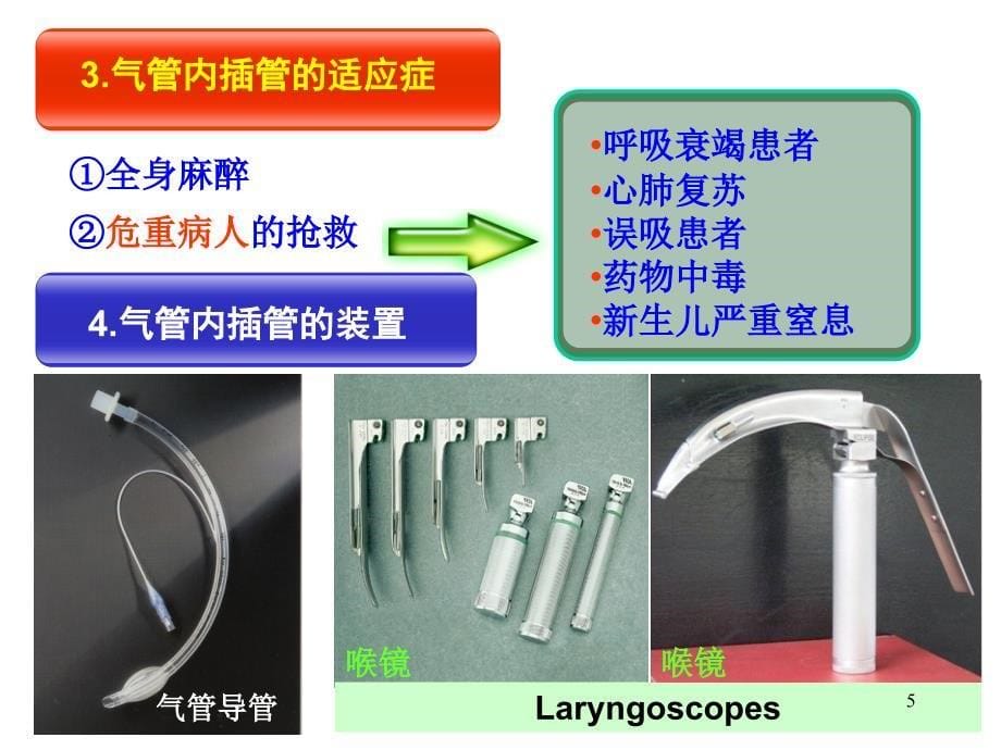 气管插管通道的应用解剖PPT课件_第5页