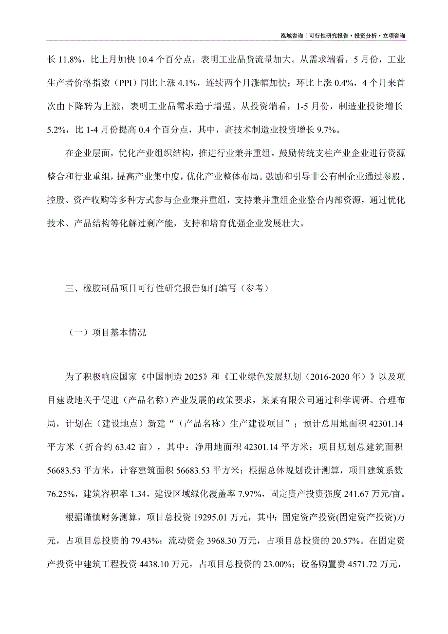 橡胶制品项目可行性研究报告（模板大纲及重点分析）_第2页