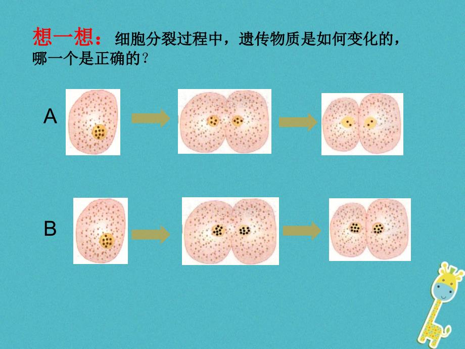 陕西省石泉县七年级生物上册2.2.2动物体的结构层次课件3新版新人教版_第4页