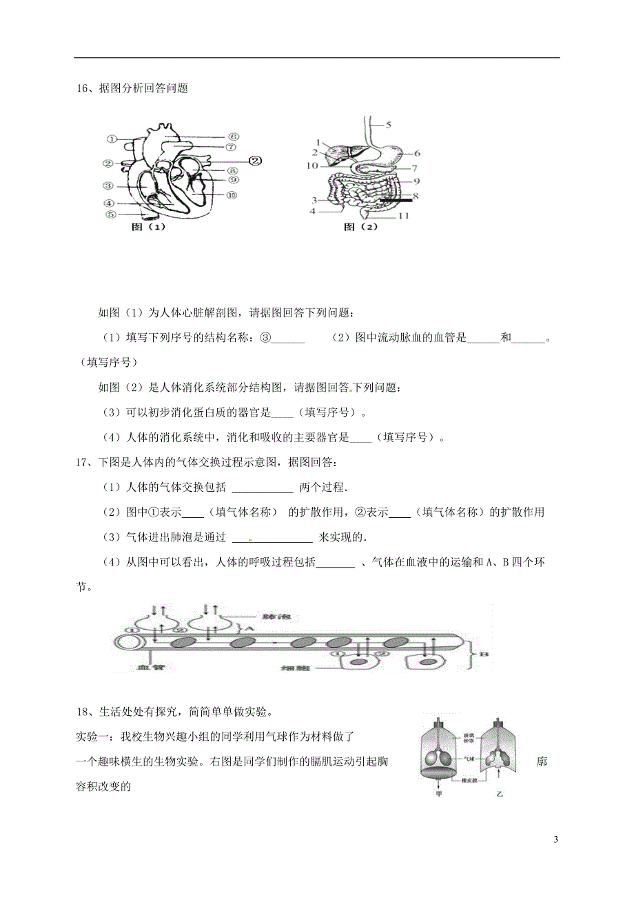 江西省宁都县2017-2018学年七年级生物下学期期中试题（无答案）新人教版_第3页