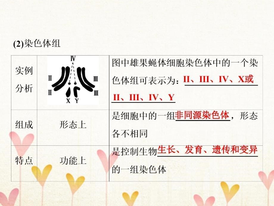 2019版高考生物一轮复习第一部分第七单元生物的变异育种和进化第22讲染色体变异与育种课件新人教版_第5页