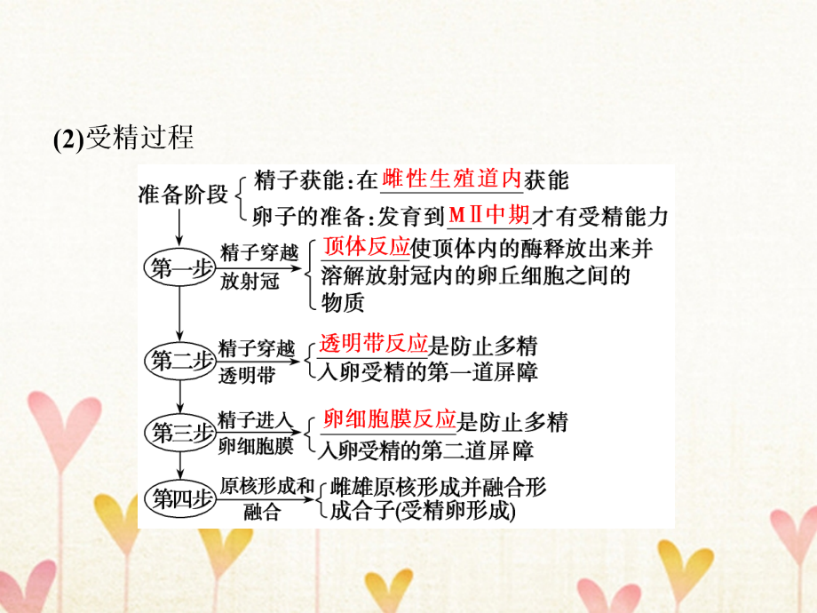 2019版高考生物一轮复习第二部分第十一单元现代生物科技专题第38讲胚胎工程生物技术的安全性与伦理问题及生态工程课件新人教版_第4页